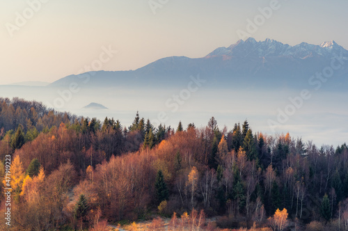 Autumn mountains panorama, tatra mountains over Beskidy mountains, Poland