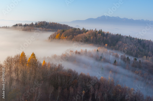 Fototapeta Naklejka Na Ścianę i Meble -  Misty autumn mountains landscape in the morning, Poland, Beskidy mountains and Tatra mountains in the background