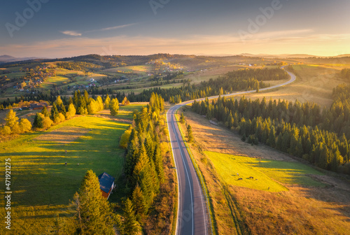 Aerial view of mountain road in village at sunset in autumn. Top view from drone of road in woods. Beautiful landscape with roadway, forest, houses, cows, green meadows, colorful sky in fall. Travel