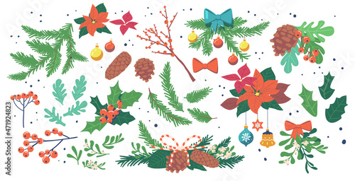 Christmas Plants Decoration, Winter Berries and Leaves, Winter Elements Leaf, Fir, Pine Branches Floral Collection