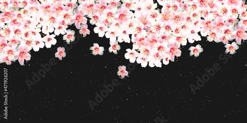 桜　春　風景　背景
