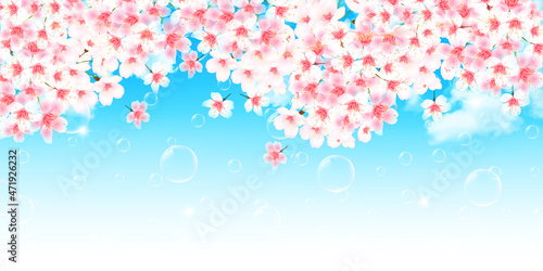 桜　春　風景　背景