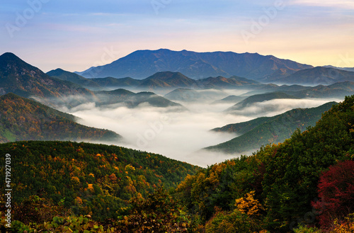 가을 단풍이 물든 운해가 넘실거리는 산이 멋진 화려한 아침 풍경,대한민국 경상북도 삼국유사면,오색찬란한 풍경