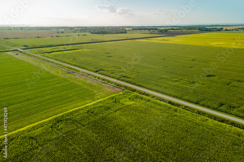 Aerial view of Soy bean fields in Michigan © SNEHIT PHOTO