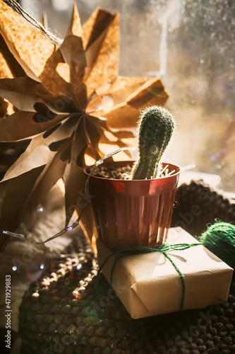 Christmas star carved by hand on a windowsill next to a cactus in a pot. cozy zero waste Christmas. Soft knitted scarves and hand-wrapped gift on the windowsill.