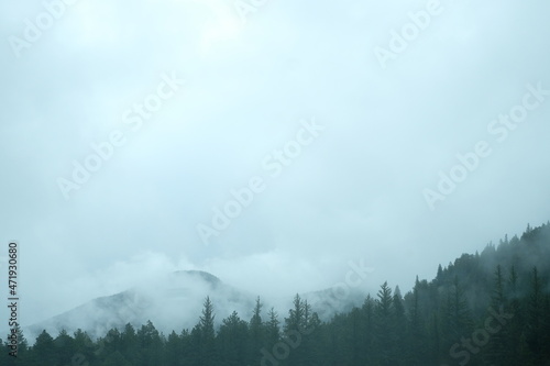 Foggy Views of Mountains in Estes Park, Colorado