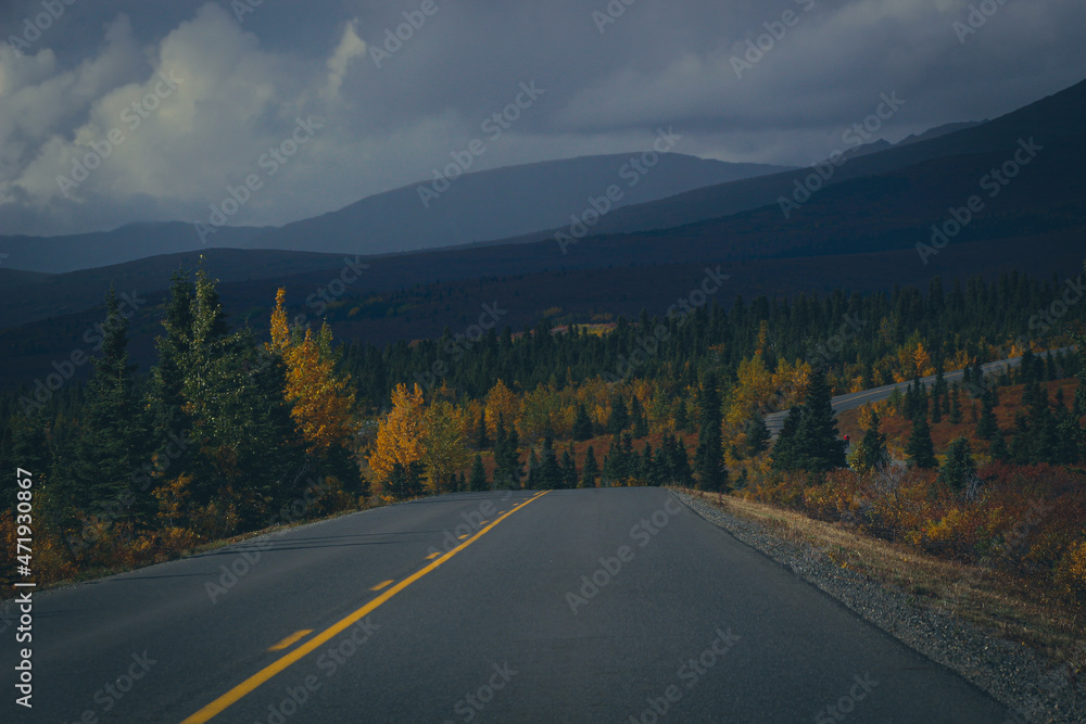 Fototapeta premium road in the mountains