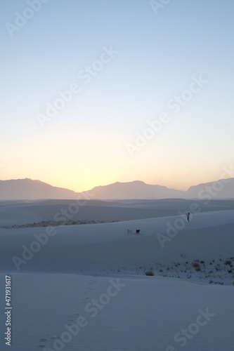Woman and Two Dogs at Sunset at White Sands National Park, New Mexico