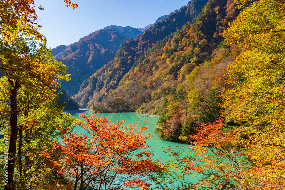 Naklejka premium 【富山県】黒部峡谷 うなずき湖