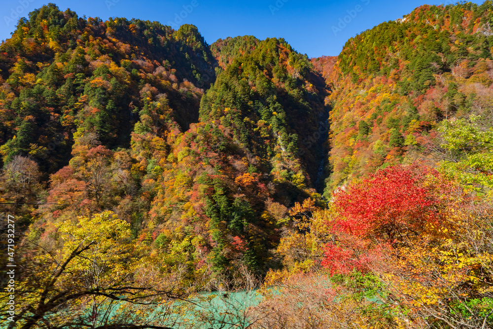【富山県】秋の黒部峡谷