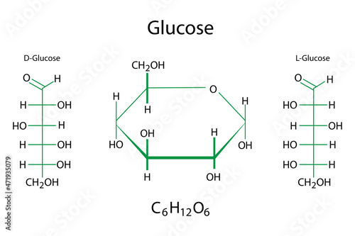 Glucose chemical formulas. Molecular structure. Science element. Organic compound. Vector illustration. Stock image.