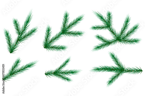 Twig of spruce. Realistic design. Tree branch. Green silhouette. Evergreen symbol. Vector illustration. Stock image. 
