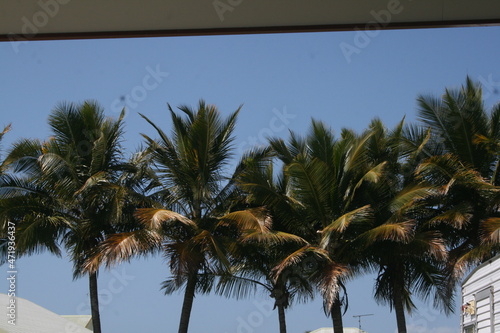 Australian Beaches North Queensland