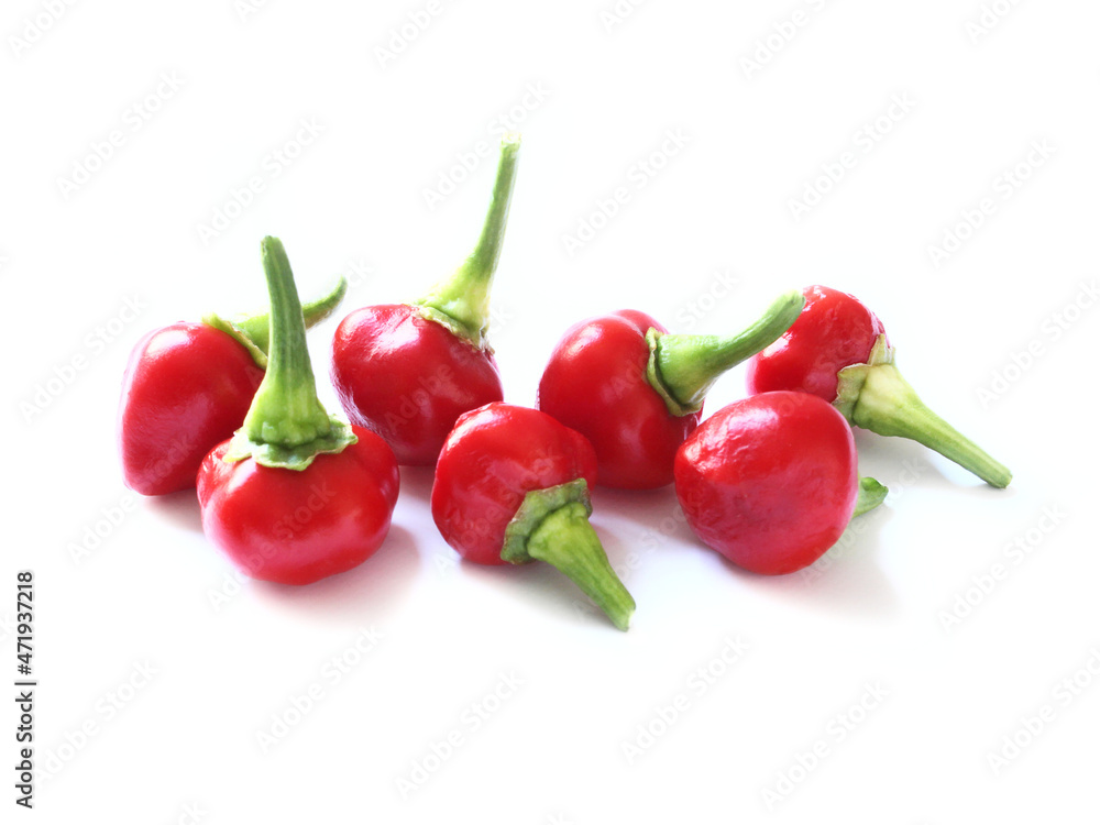 Pepper Pepper