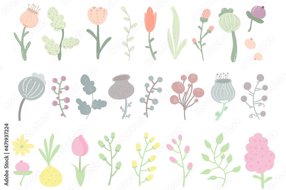 Obraz premium Floral set of beautiful blooming wildflowers and leaves. Flower head, petals, leaves and branches. Botanical collection of cut meadow and garden flowers.