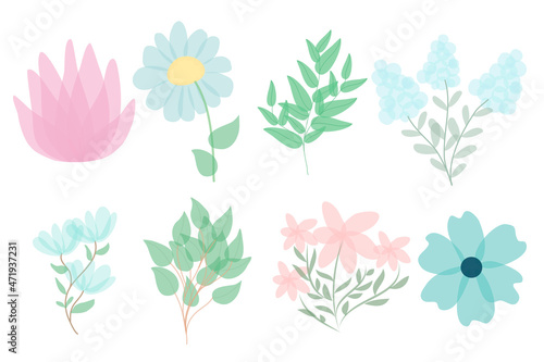 Floral set of beautiful blooming wildflowers and leaves. Flower head, petals, leaves and branches. Botanical collection of cut meadow and garden flowers.