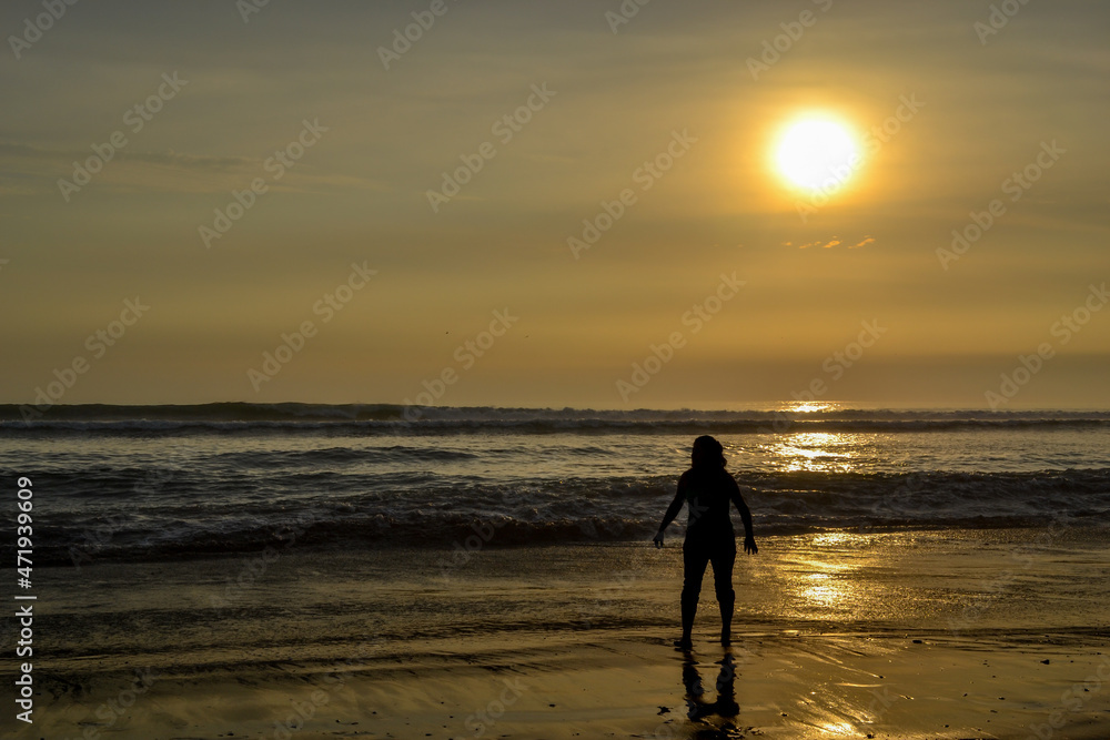 Silhouette of a person on the shore of the beach at sunset.