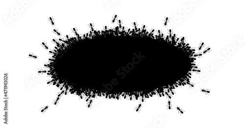 Black ants circle border. Ants forming round oval isolated in white background. Vector illustration
