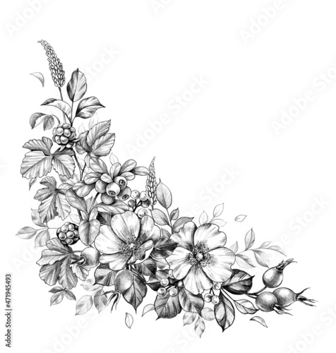Fototapeta Naklejka Na Ścianę i Meble -  Hand drawn Bunch with Dog-Rose Flowers and Berries