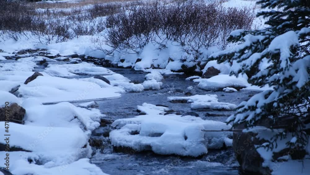 Dreamy icy river flowing in Assiniboine National Park, Canada Dreamy icy river flowing in Assiniboine National Park, Canada