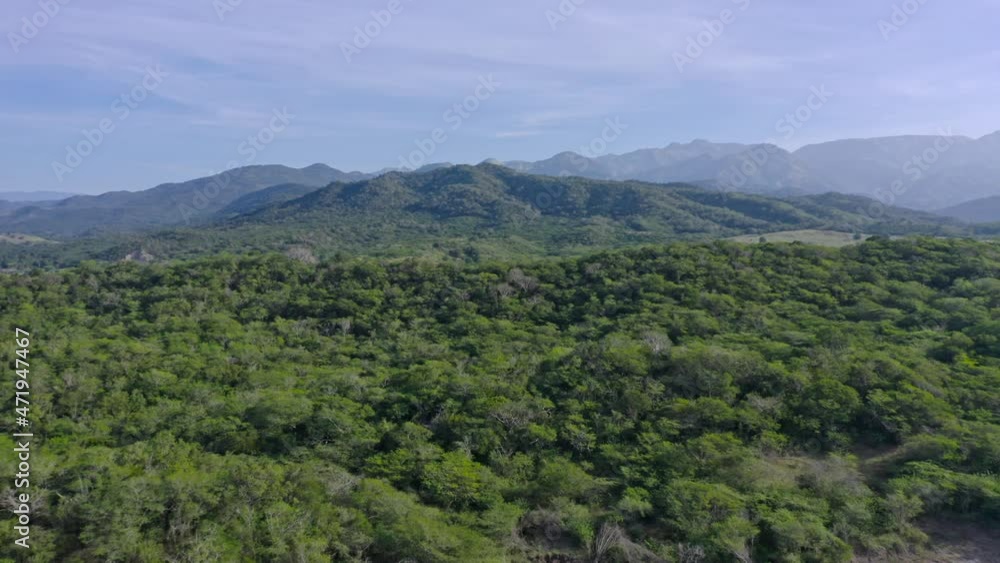Aerial flyover dense growing plants and trees during sunlight in Azua Province with mountain range in background Aerial flyover dense growing plants and trees during sunlight in Azua Province with mountain range in background