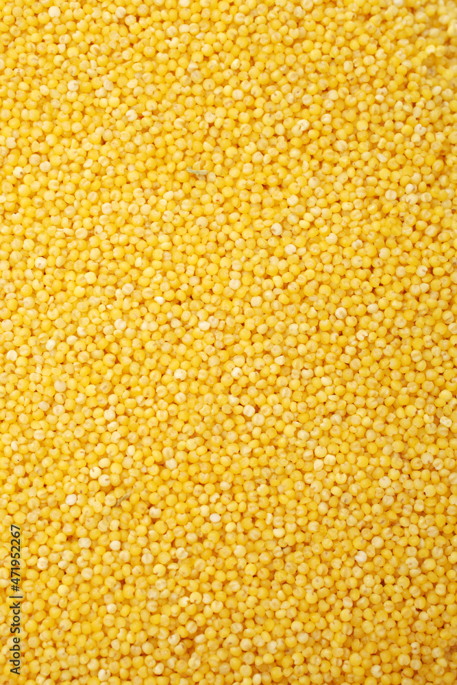 Millet on a white background Millet on a white background
