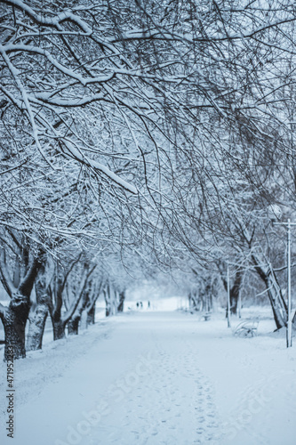 snow covered road