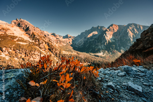 Hiking Popradske lake to Ostrva peak , very popular hiking destination in High Tatras National park, Slovakia nature photo