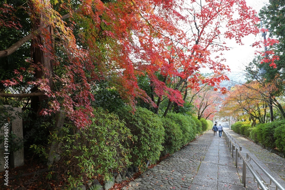 Obraz premium 京都 真如堂の紅葉