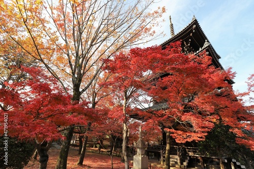 京都　真如堂の紅葉