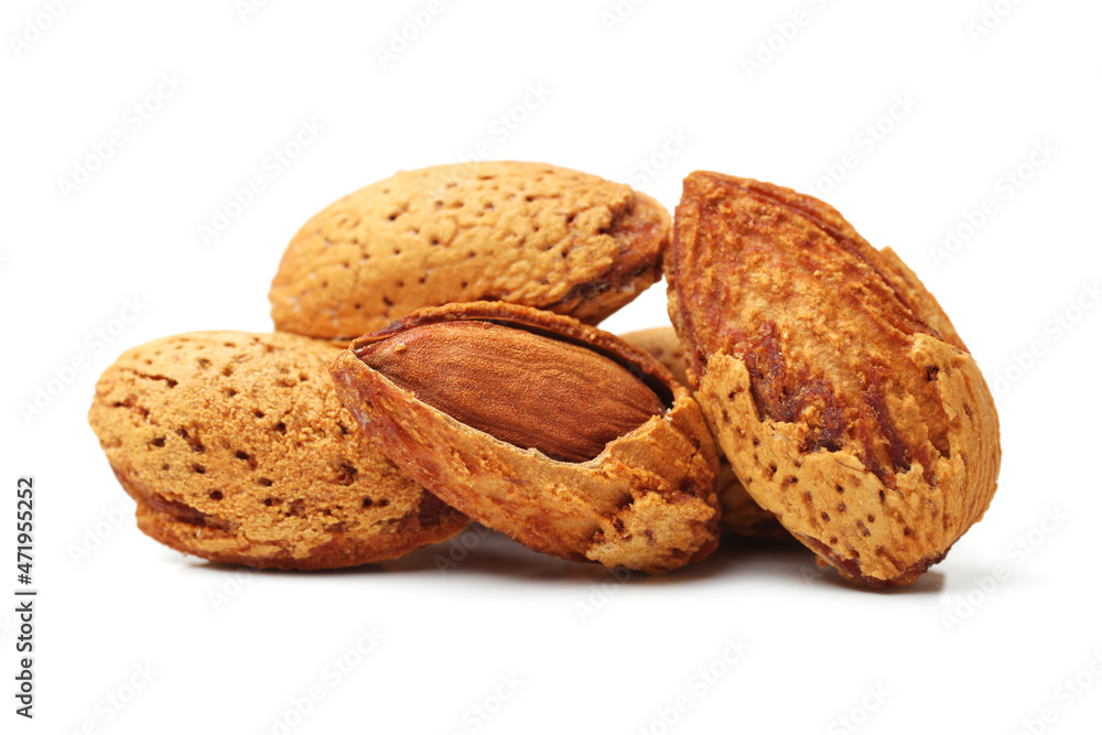 peach kernel isolated on white background peach kernel isolated on white background