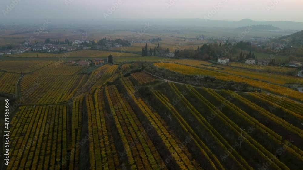 Aerial drone flying above scenic yellow and green vineyard fields on hills in Valpolicella, Verona, Italy in autumn after grape harvest for Ripasso wine by sunset surrounded by traditional farms in 4K Aerial drone flying above scenic yellow and green vineyard fields on hills in Valpolicella, Verona, Italy in autumn after grape harvest for Ripasso wine by sunset surrounded by traditional farms in 4K