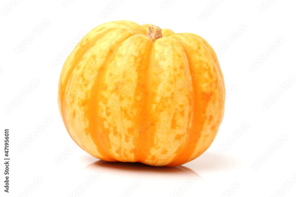 Orange pumpkin on white background Orange pumpkin on white background