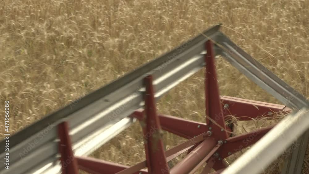 Large combine header mows the wheat. Big harvest reaper working in field. Large combine header mows the wheat. Big harvest reaper working in field.
