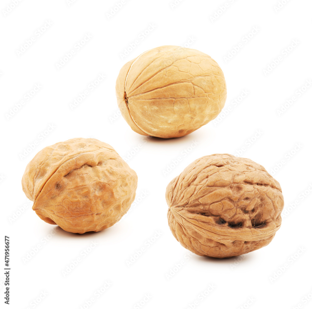walnuts on white background walnuts on white background