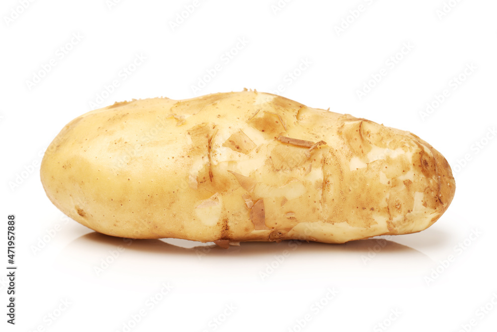 potato isolated on white background potato isolated on white background