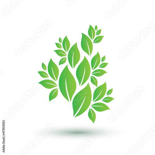 green leaf bunch vector Leaf Nature Pattern