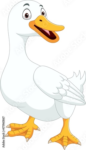 Cartoon duck isolated on white background