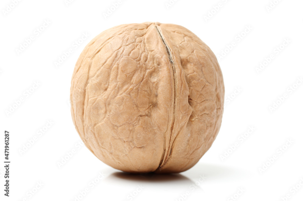 walnuts on white background walnuts on white background