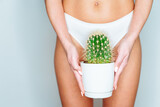 Depilation in bikini zone concept. Woman in white pants hold cactus in her hand. Laser, wax and sugaring hair removal.