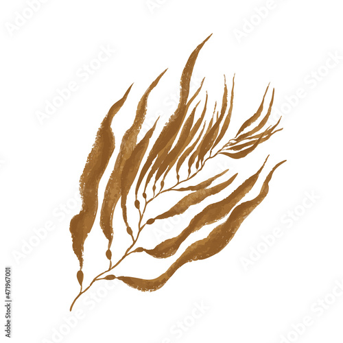 Brown algae. Paint and brush texture isolated on white background. Vector illustration