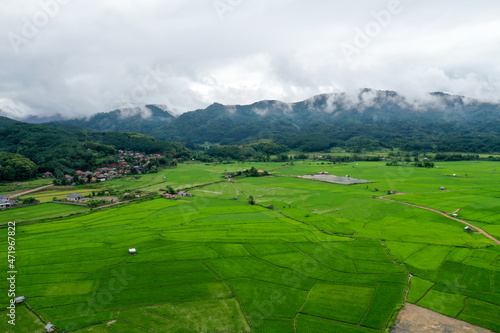 plantation field nearby village and mountain in cloudy sky