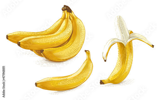 banana Hand drawing sketch engraving illustration style