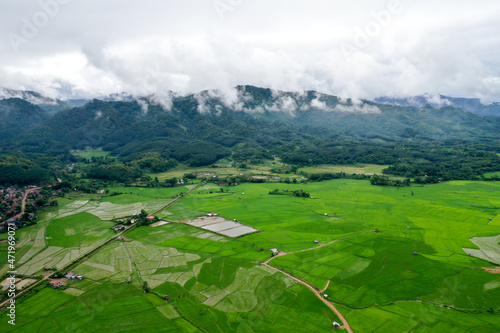 Scenic view of  green field against mountain in cloudy sky