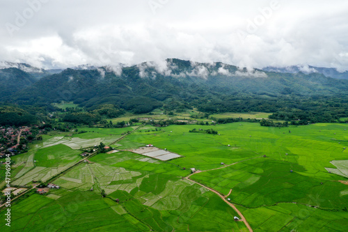 Scenic view of  green field against mountain in cloudy sky