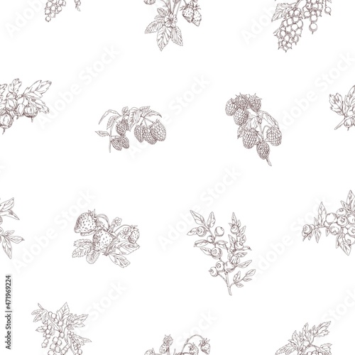 Outlined berry branches pattern. Seamless botanical background with vintage drawings of fruit plants. Endless design with repeating print. Hand-drawn vector illustration for wrapping and decoration