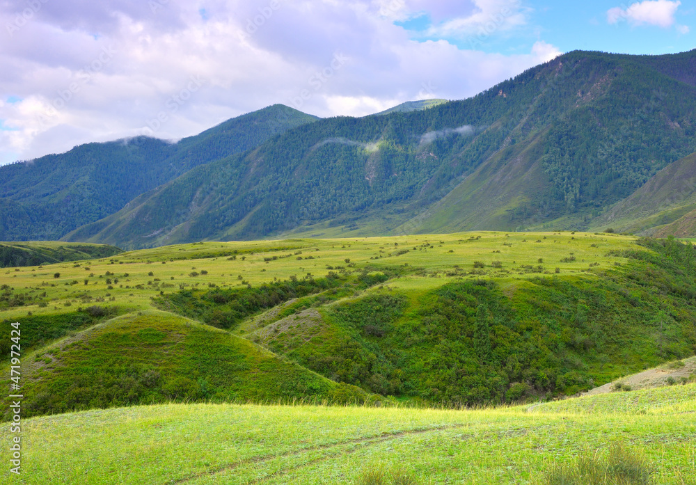 A green valley in the Altai Mountains