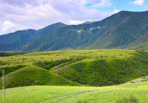 A green valley in the Altai Mountains