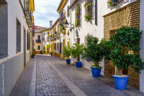 Alley with typical Andalusian houses and pots with flowers and plants. Córdobas, Spain.