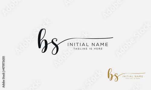 BS SB Signature initial logo template vector 